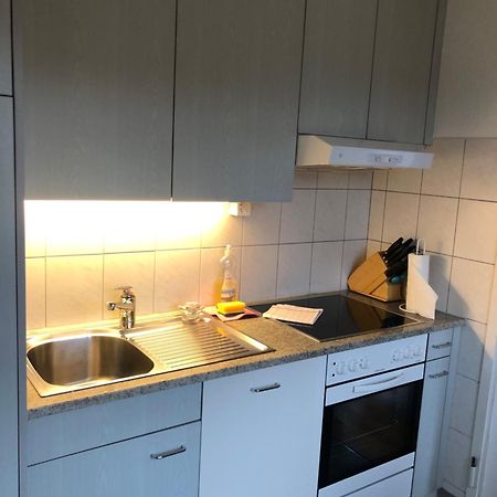 Cozy, Sunny, City Center 1 Bedroom Flat チューリッヒ エクステリア 写真