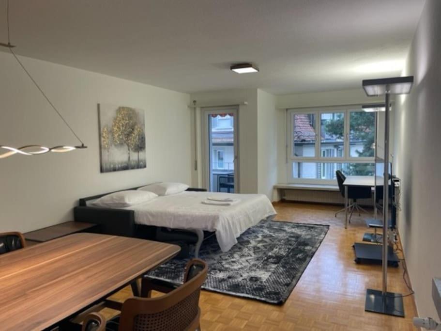 Cozy, Sunny, City Center 1 Bedroom Flat チューリッヒ エクステリア 写真