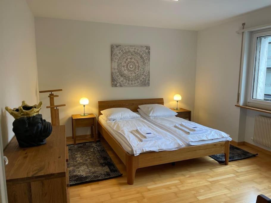 Cozy, Sunny, City Center 1 Bedroom Flat チューリッヒ エクステリア 写真