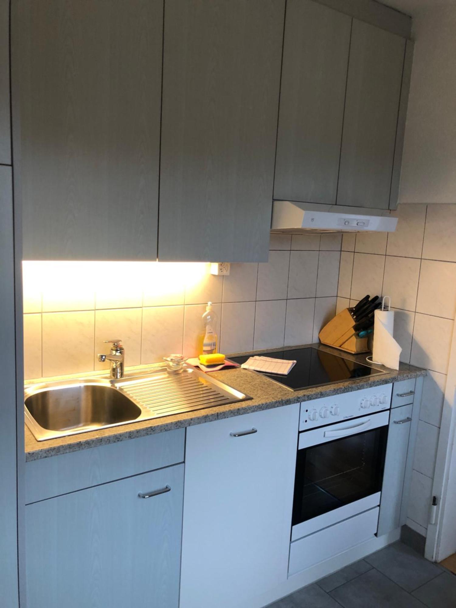 Cozy, Sunny, City Center 1 Bedroom Flat チューリッヒ エクステリア 写真