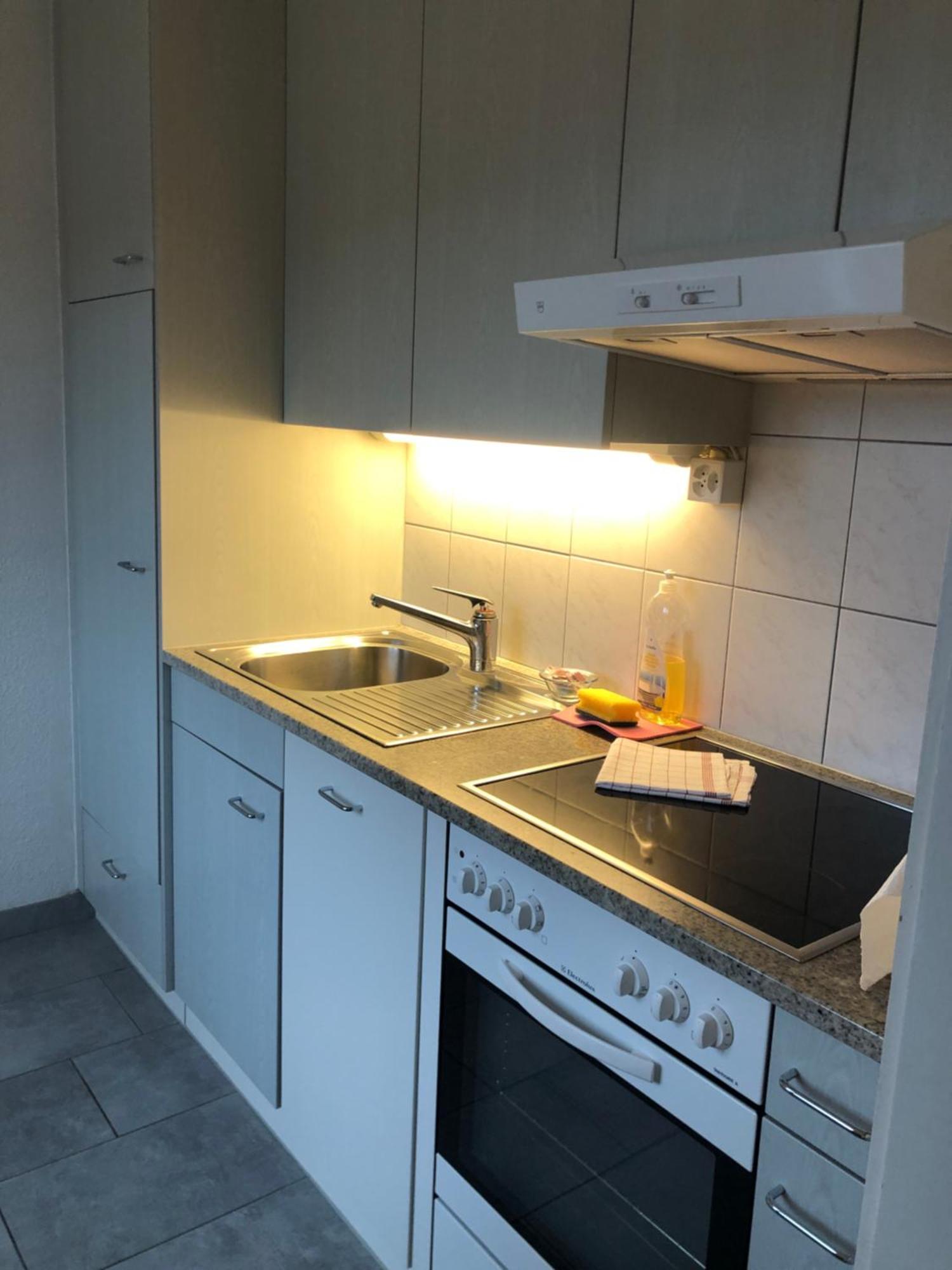 Cozy, Sunny, City Center 1 Bedroom Flat チューリッヒ エクステリア 写真